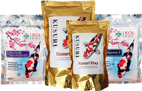 Welcome to Our Store